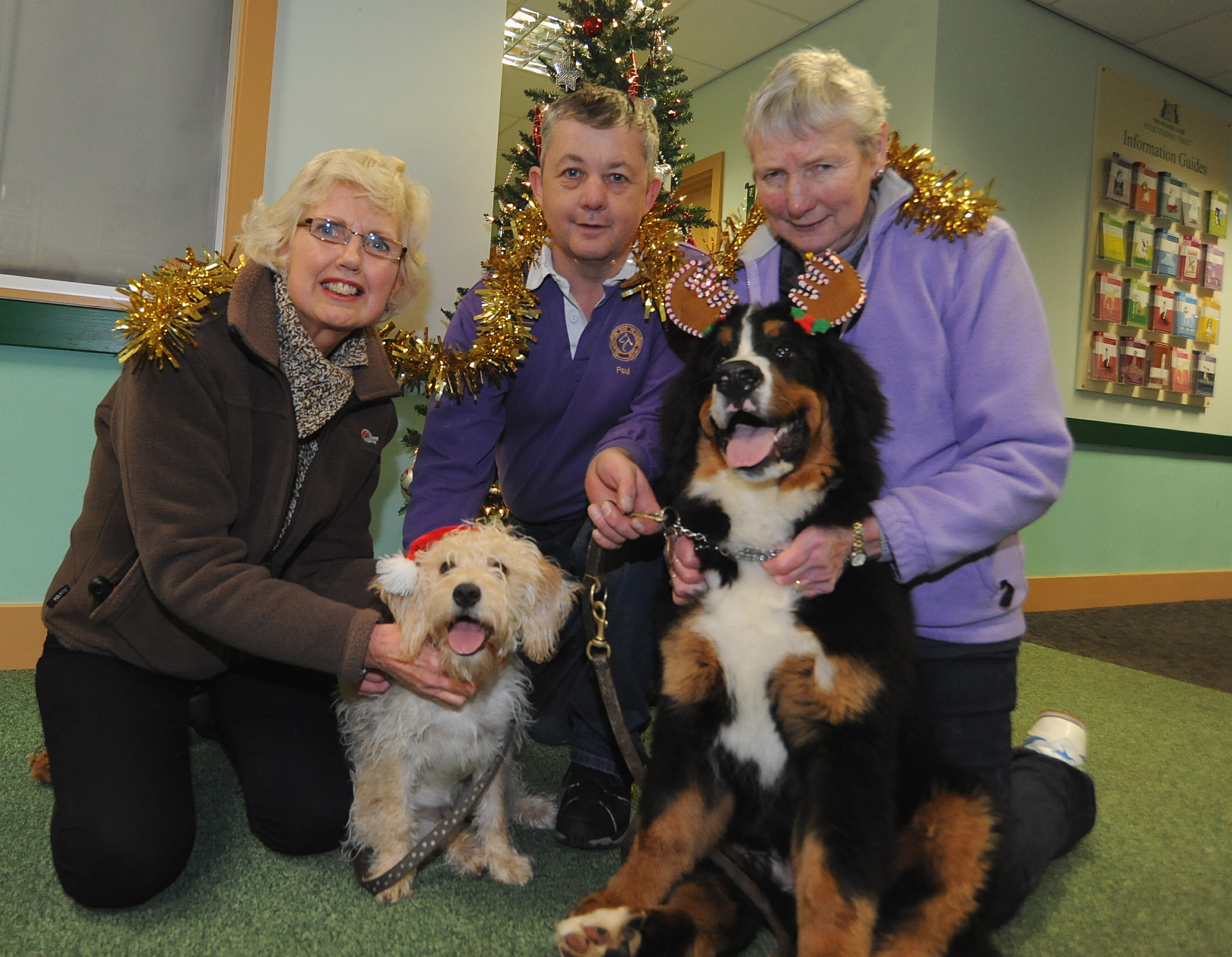 Canine Christmas Cracker