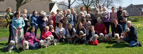 DANDIE LINES UP STONELEIGH PARK TO HOST THEIR CHAMPIONSHIP SHOW